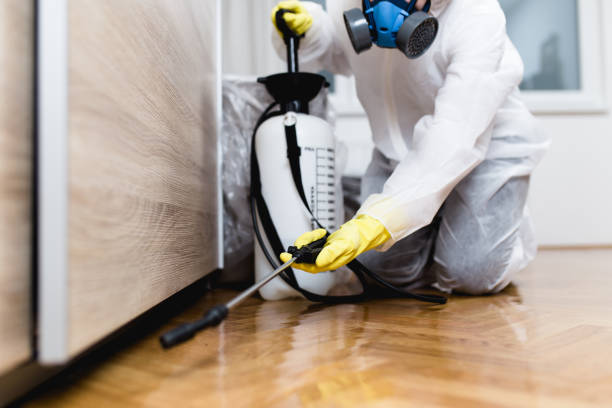 Best Wasp Removal Services  in Seneca, KS
