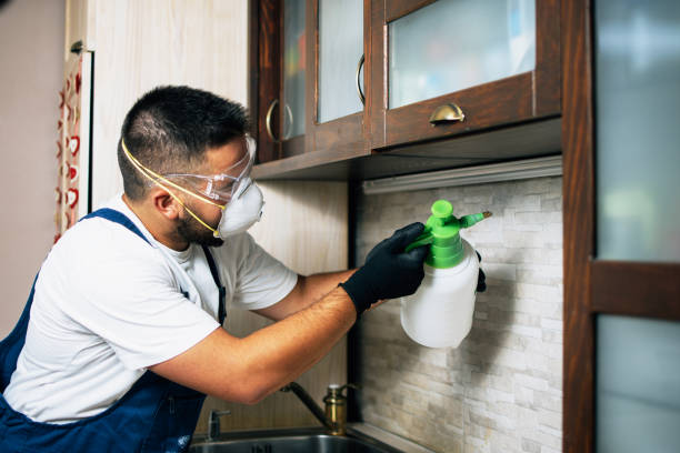 Best Pest Control for Businesses  in Seneca, KS