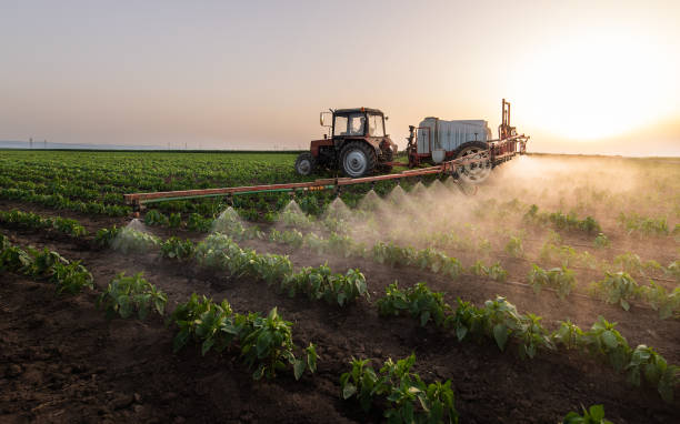 Best Mosquito Control Services  in Seneca, KS