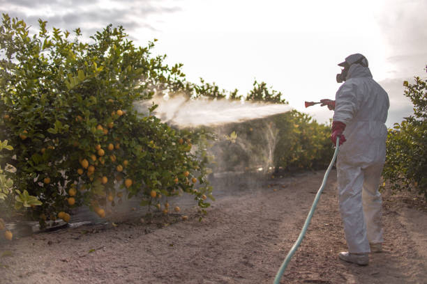 Reliable Seneca, KS Pest Control Solutions