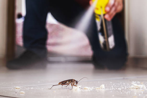 Wildlife Control Services in Seneca, KS